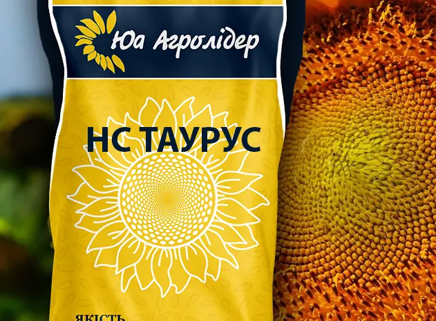 Насіння соняшнику на посів (імпорт, 2023, Сlearfield, Гранстар.)- фото № 3