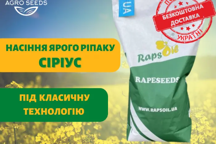 Насіння Ярого ріпаку гібрид Сіріус (БЕЗ ГМО!) в Києві- фото № 1