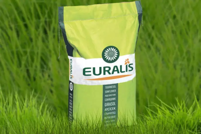 Насіння озимого ріпаку ЄС Гідромель від Euralis- фото № 1