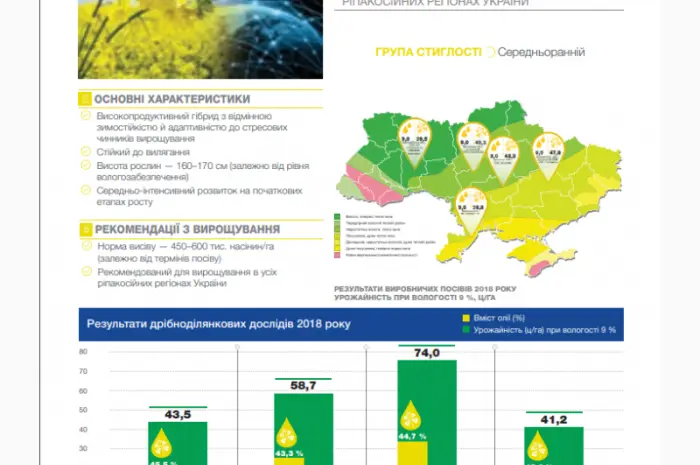 Насіння озимого ріпаку НК Технік від Сингента- фото № 3