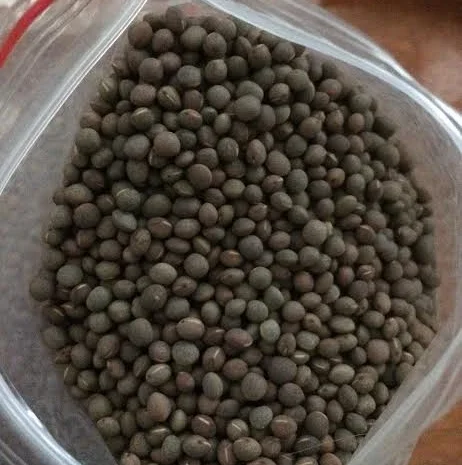 Покупаю коричневый лен в биг-бегах- фото № 1