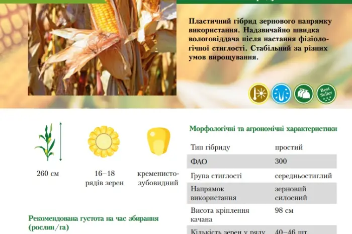 Бери!!! Насіння соняшника та (або) кукурудзи та гарантовано отримуй знижку- фото № 4