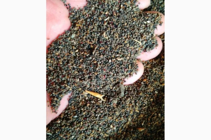 Куплю отходы кукурузы и сои- фото № 1