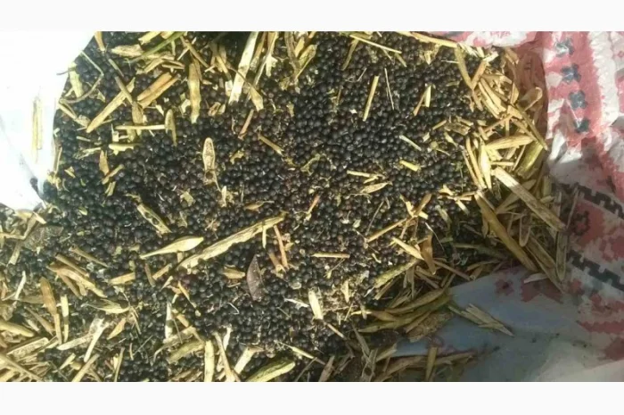 Куплю отходы кукурузы и сои- фото № 2