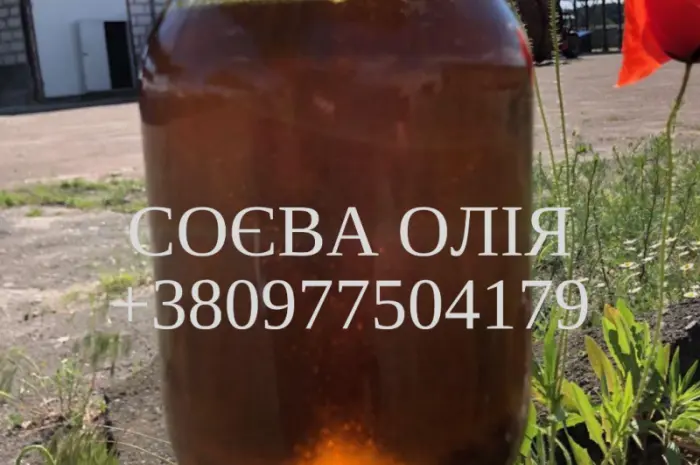 Продаем высококачественное соевое масло от производителя- фото № 1