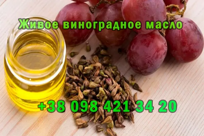 Продам свежеотжатое виноградное масло- фото № 2