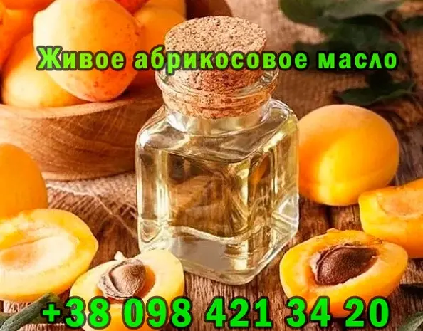 Продaю свeжeвыжaтоe aбрикосовоe мaсло- фото № 2
