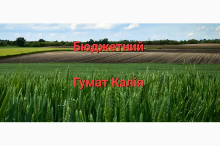 Гумат Калия из Биогумуса- фото № 1