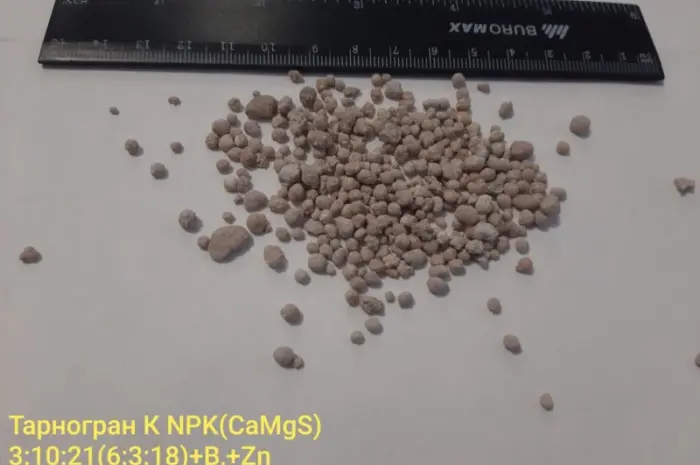 Tarnogran-К NPK (CaMgS) 3-10-21-(6-3-18) B- фото № 2