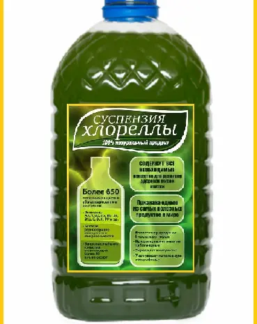 Хлорелла суспензия (Chlorella-Vulgaris) - живой штамм хлореллы- фото № 1