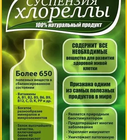 Хлорелла суспензия (Chlorella-Vulgaris) - живой штамм хлореллы- фото № 2