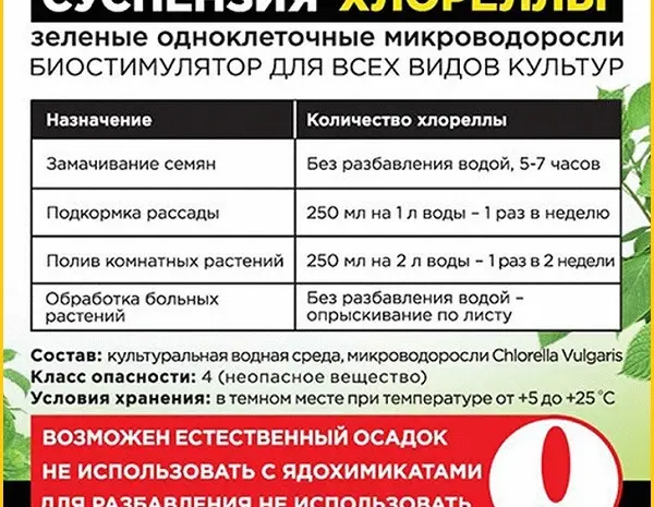 Хлорелла суспензия (Chlorella-Vulgaris) - живой штамм хлореллы- фото № 3