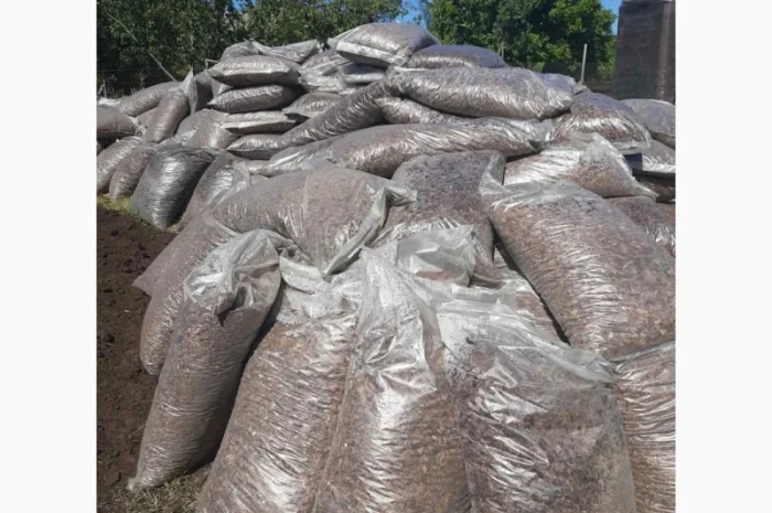 Кора соснова для мульчування лохини. Дрібна фракція. Мішки 50 літрів- фото № 1