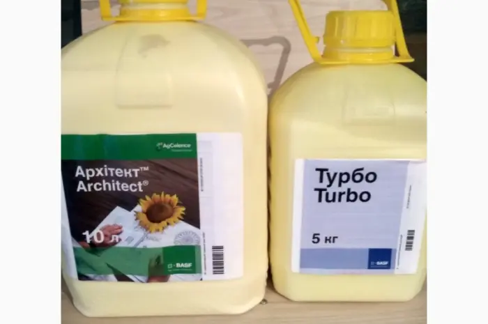 Архітект & Турбо- надійний захист від хвороб + генетичний потенціал соняшнику- фото № 1