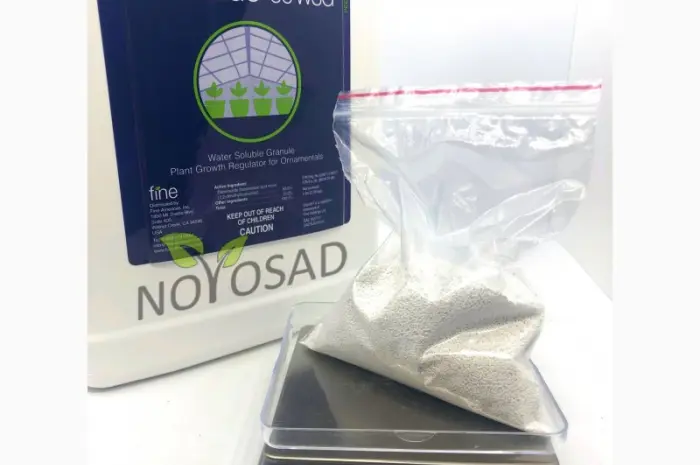 Dazide 85 WSG (Дазиде) 100г – регулятор росту для хризантем на розвіс- фото № 1