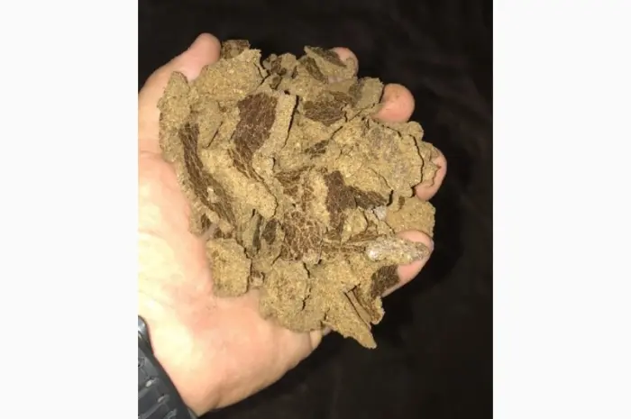 Продам рапсовый жмых- фото № 1