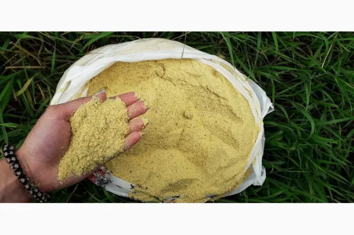 Продам корм для корів (шрот, макуха, жмих) від 500 кг без вихідних! Протеїн: 44-45%- фото № 2