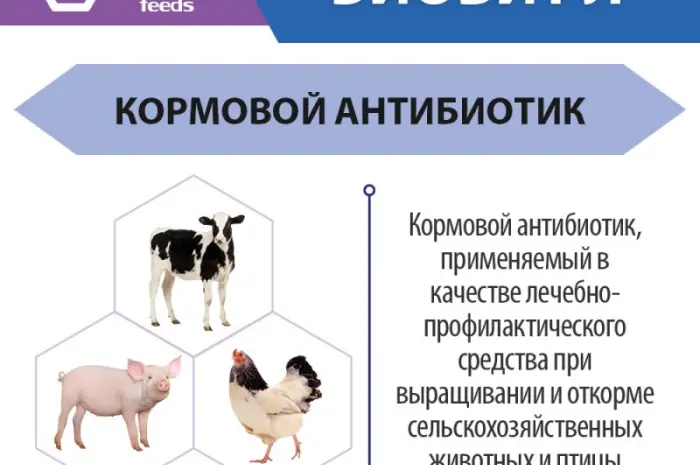 Біовіт Л-80 - Антибіотик для тварин і птиці- фото № 3
