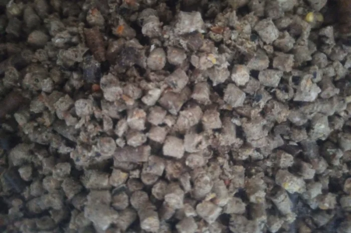 Продам комбікорм, корм для птицы и животных- фото № 3