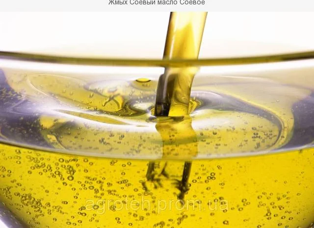 Продам жмых соевый ( макуху ) и масло соевое от производителя- фото № 2