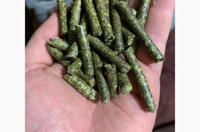 Люцерна в гранулах- фото № 1