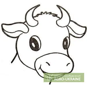 Продам ЗЦМ "Здорове телятко" з 7 дня, 20 та 30 дня- фото № 1