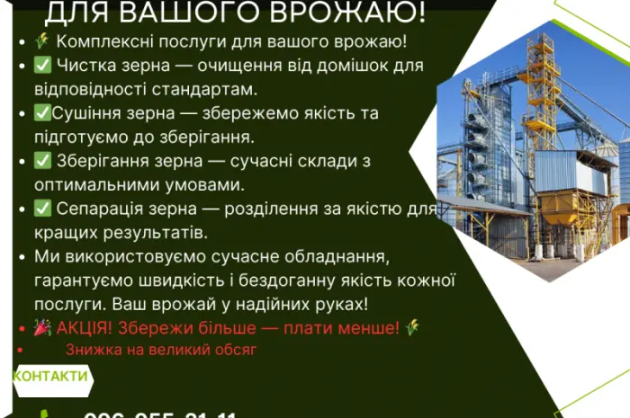 Очистка зерна в Киевской области. Услуги очистки зерновых. Завод- фото № 2