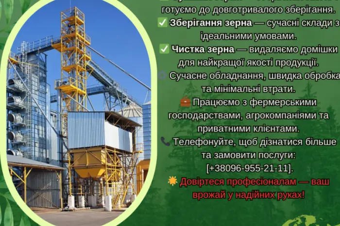 Сушка зерна. Сушка зерна. Чистка зерна в Киевской обл- фото № 1
