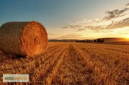 Послуги по тюкуванню соломи і сіна по Україні- фото № 1