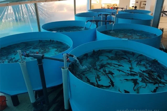 Строительство ферм для разведения рыбы и раков- фото № 1