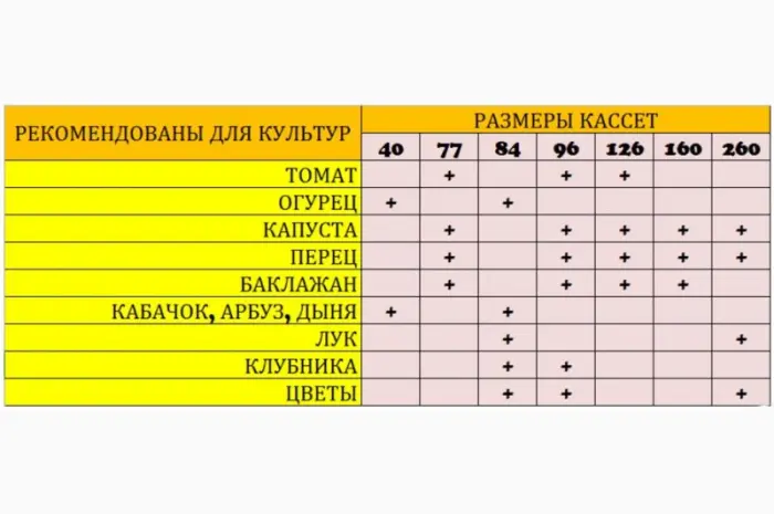 Пинетки лоток судок стаканчик упаковка для ягод Клубники Малины Смородины Овощей Фруктов- фото № 13