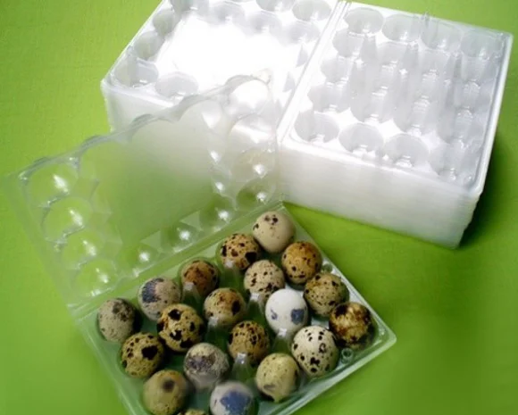Лоток для яиц: упаковка на куриные и перепелиные яйца- фото № 1