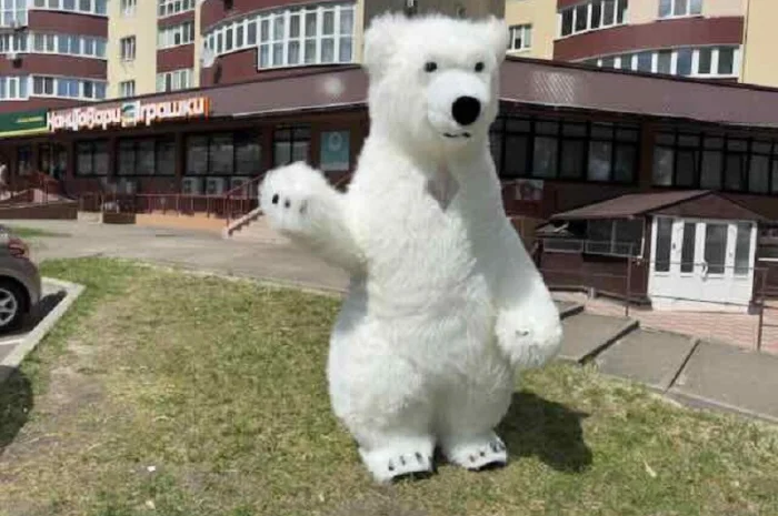 Ведмідь костюм- фото № 4