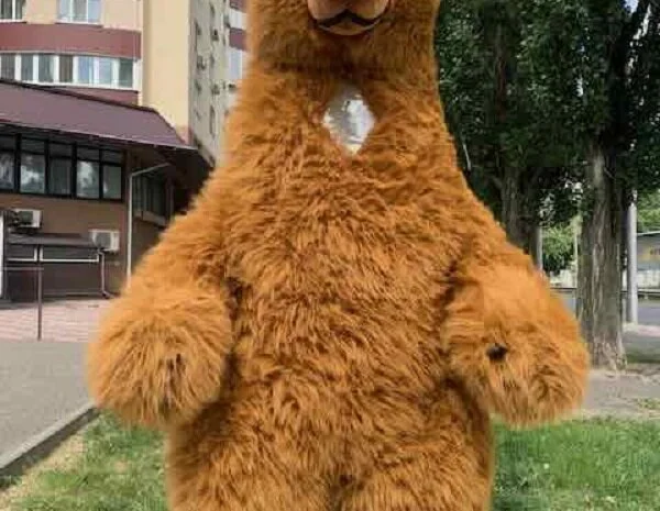 Костюм аніматору- фото № 4