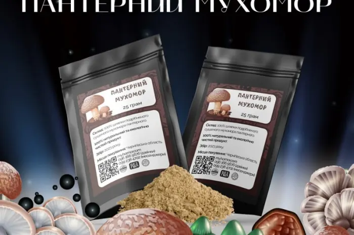 Мухомор Пантерный молотые шляпки- фото № 2