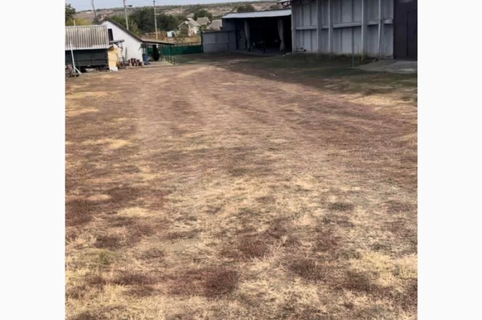 Продається складське приміщення з ділянкою в Одеській області- фото № 4