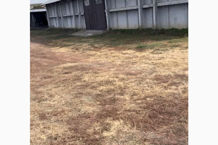 Продається складське приміщення з ділянкою в Одеській області- фото № 5