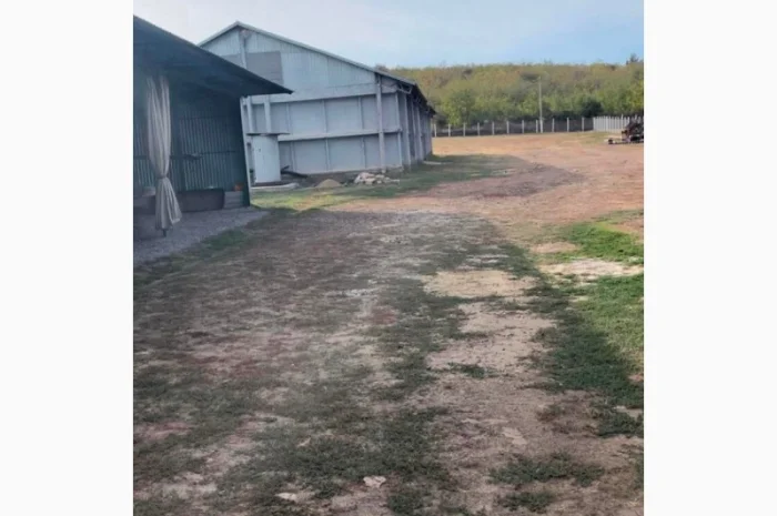 Продається складське приміщення з ділянкою в Одеській області- фото № 6