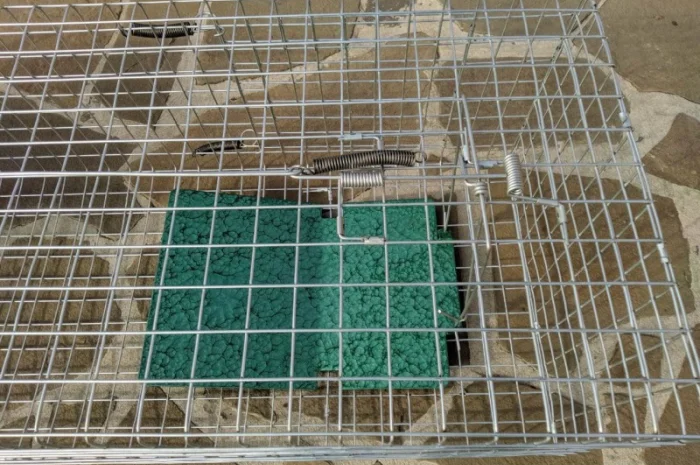 Метрова котоловка з педаллю – надійний пристрій для відлову котів- фото № 3