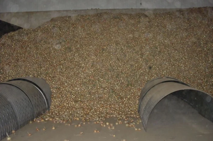 Система навального хранения лука- фото № 1