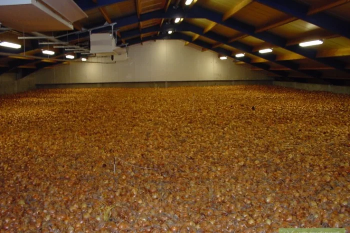 Система навального хранения лука- фото № 2