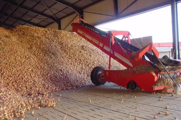 Система навального хранения лука- фото № 3