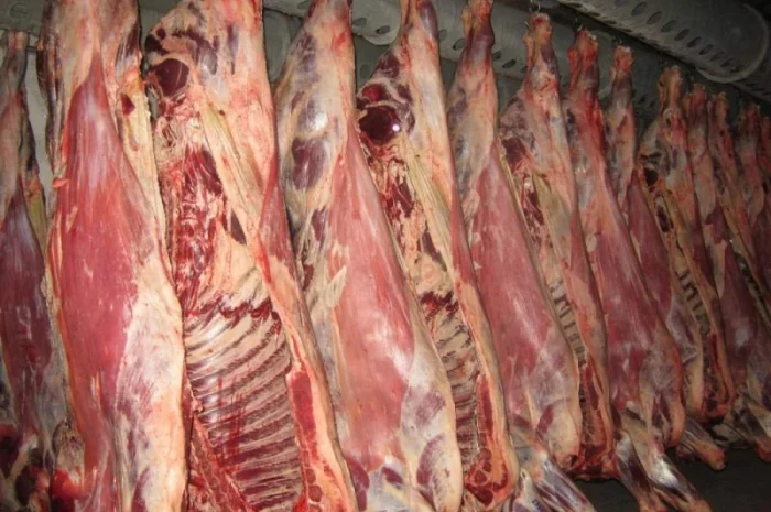 Свіжий Врх і Свинина в пів тушках- фото № 1