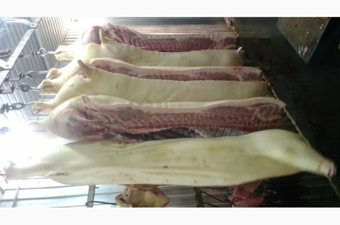 Свіжий Врх і Свинина в пів тушках- фото № 2