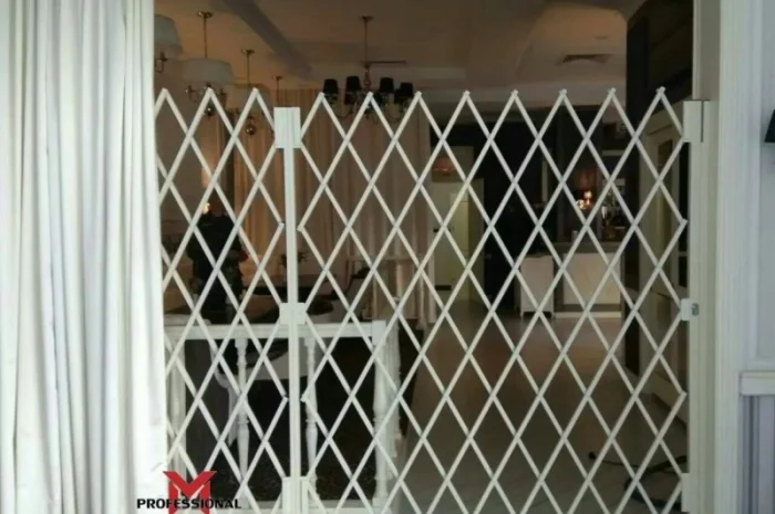 Раздвижные ограждения Prof для ограничения доступа Strong- фото № 1