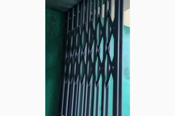 Двери Боствиг Prof (решетки для лифтов)- фото № 1