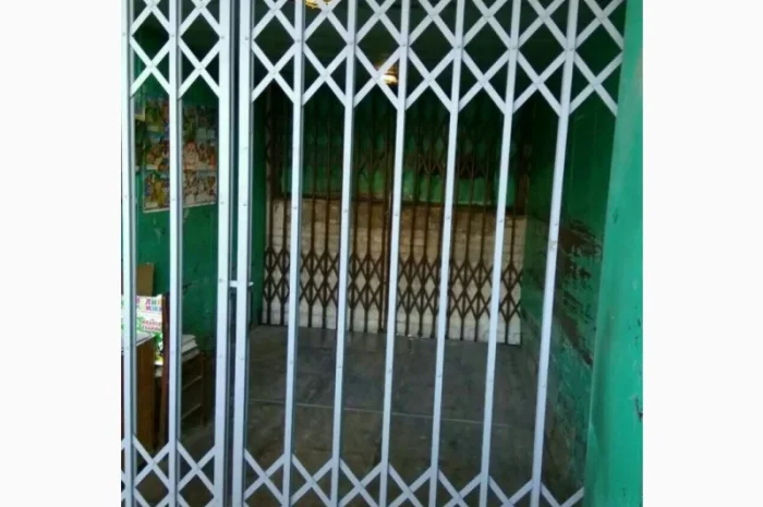 Двери Боствиг Prof (решетки для лифтов)- фото № 2