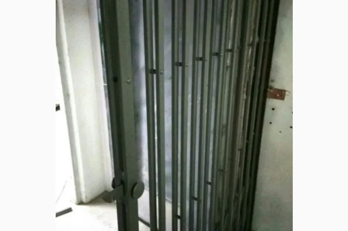 Двери Боствиг Prof (решетки для лифтов)- фото № 3