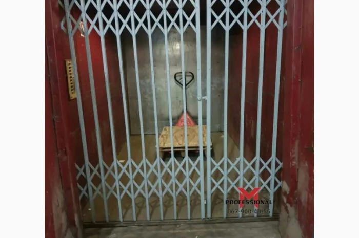 Двери Боствиг Prof (решетки для лифтов)- фото № 4