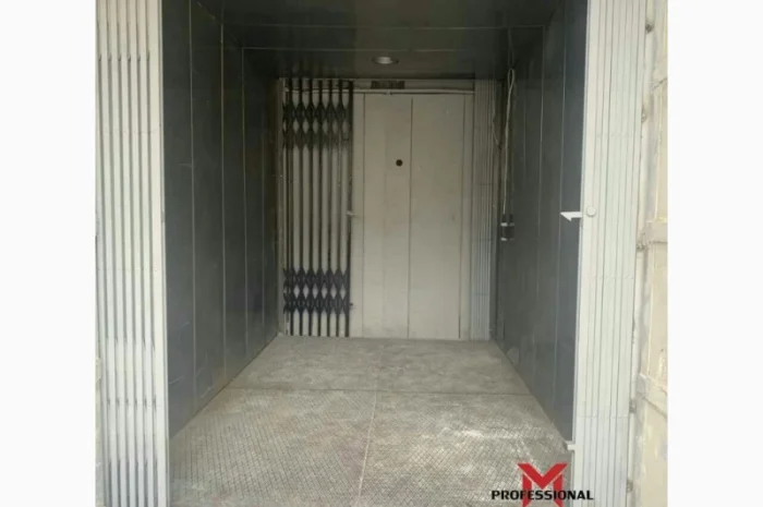 Двери Боствиг Prof (решетки для лифтов)- фото № 5